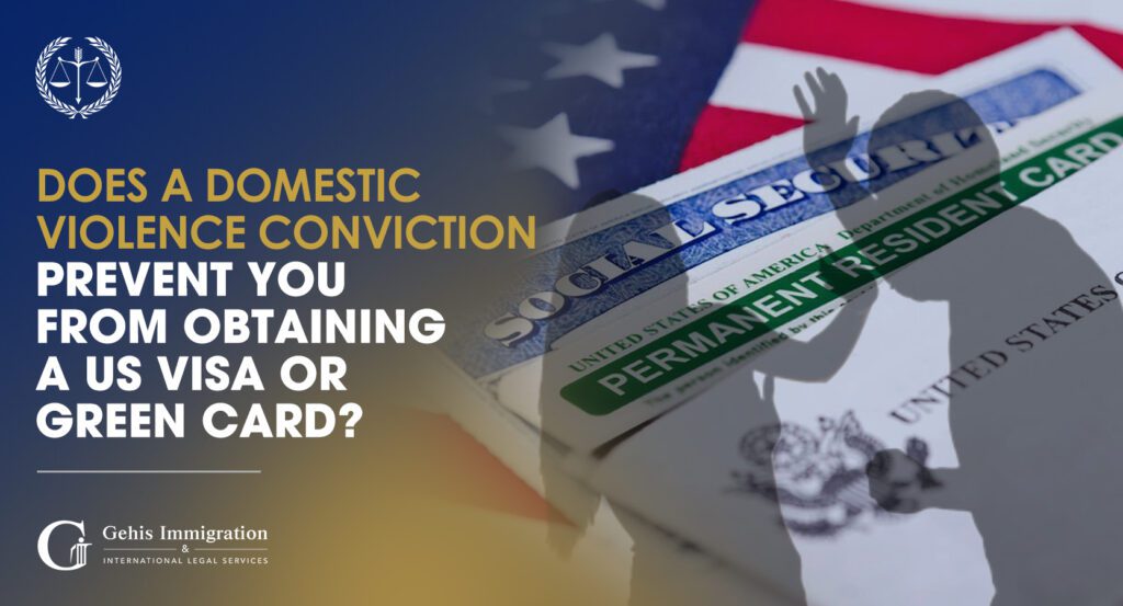 domestic violence conviction