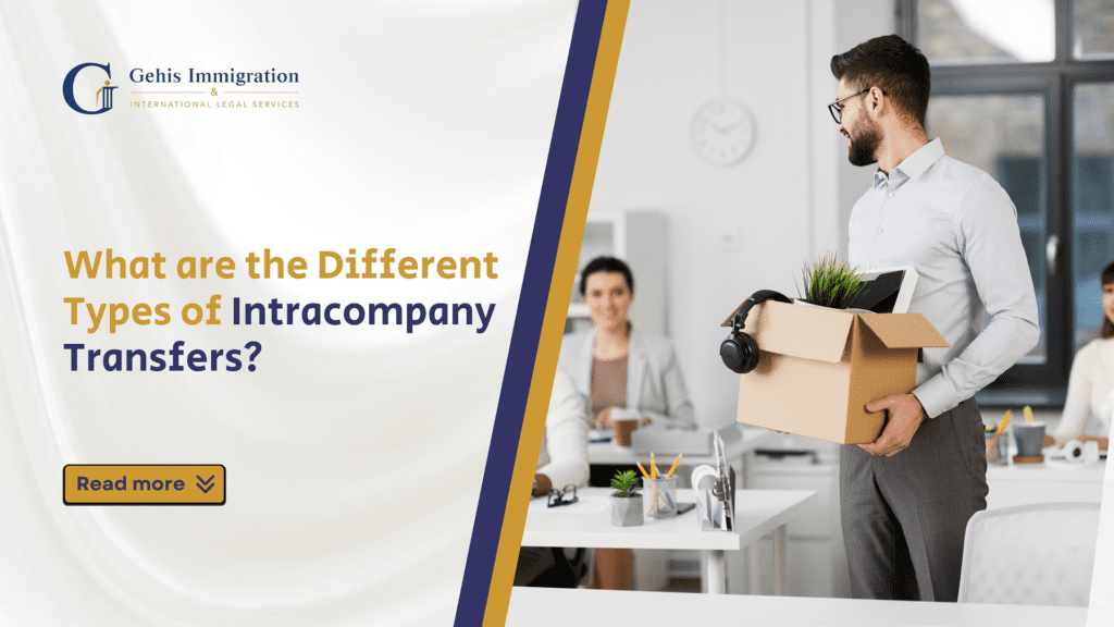 What are the Different Types of IntraComapny Transfers